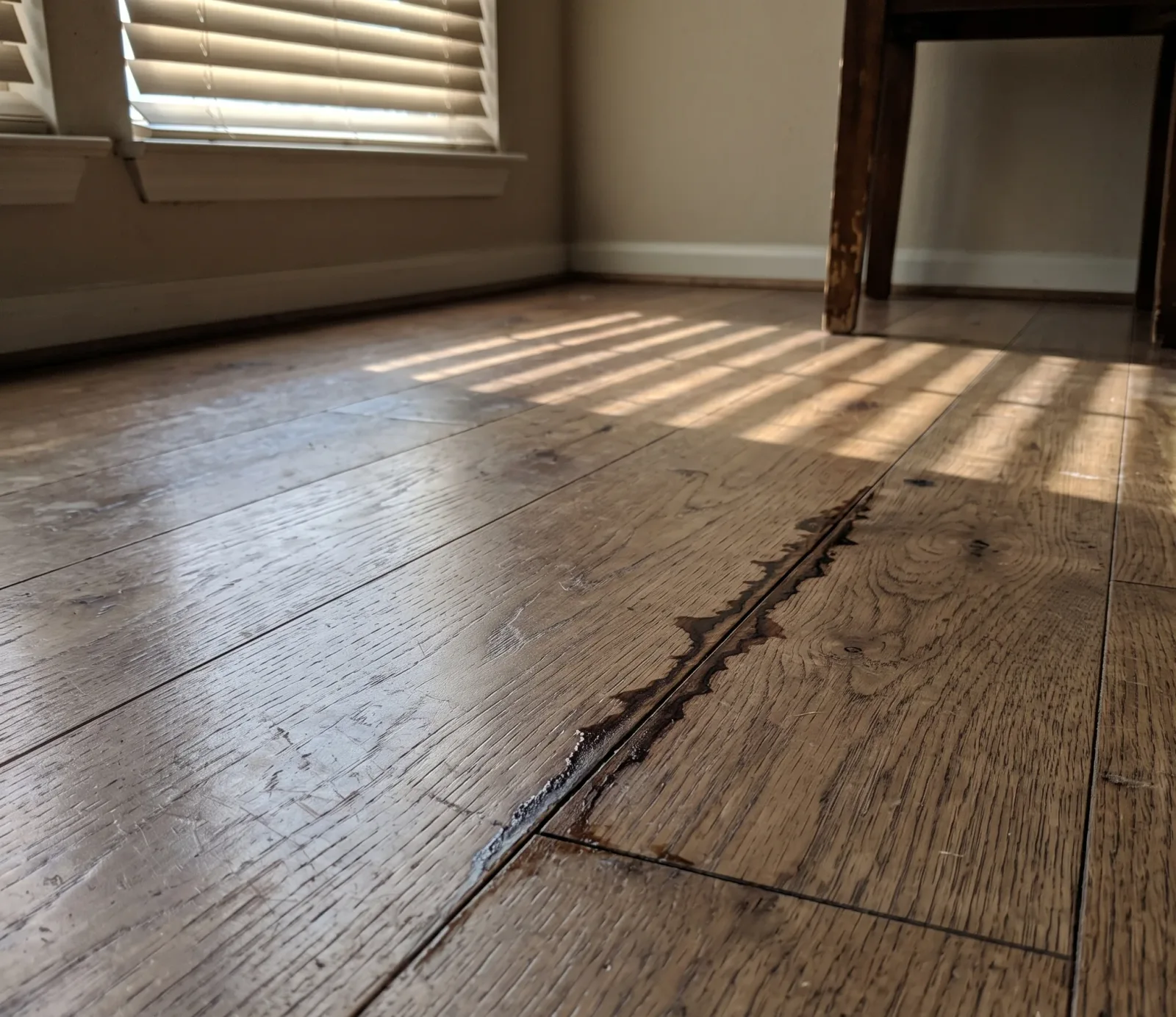 Cast Iron Pipe Failure water damage in Tempe, AZ
