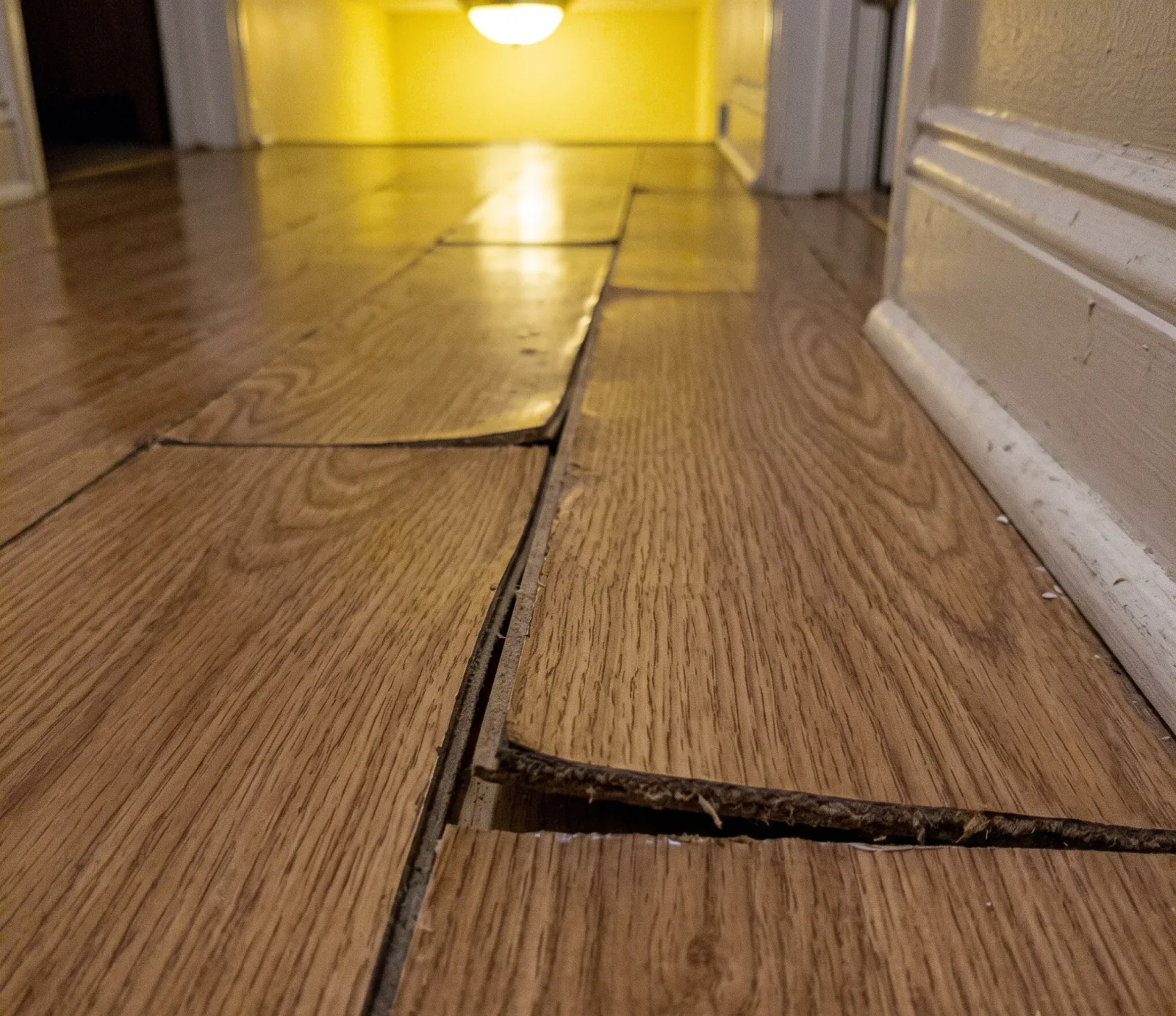 Filing a Water Damage Insurance Claim in Tempe, AZ