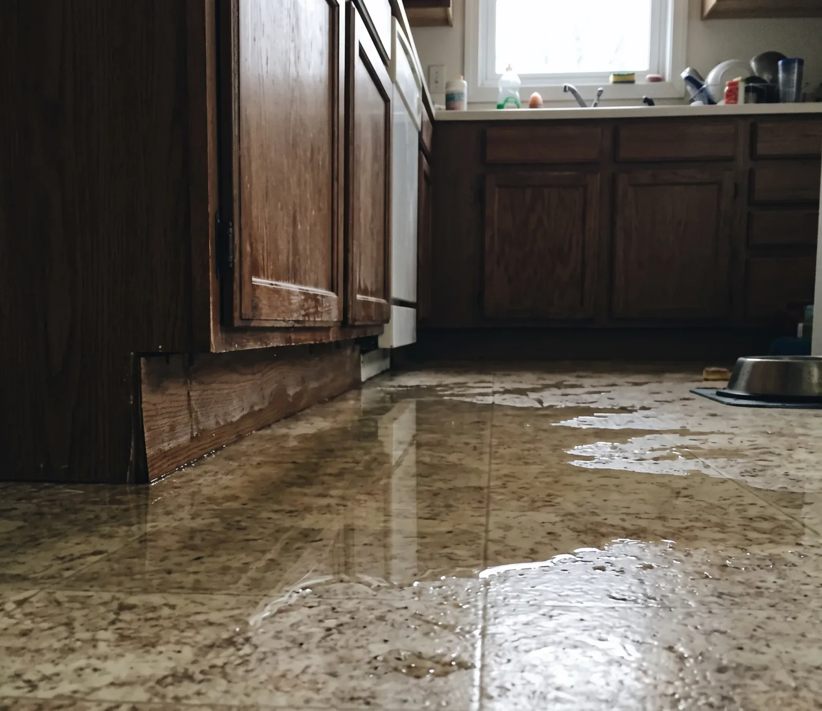 Restaurant Water Damage Response in Tempe
